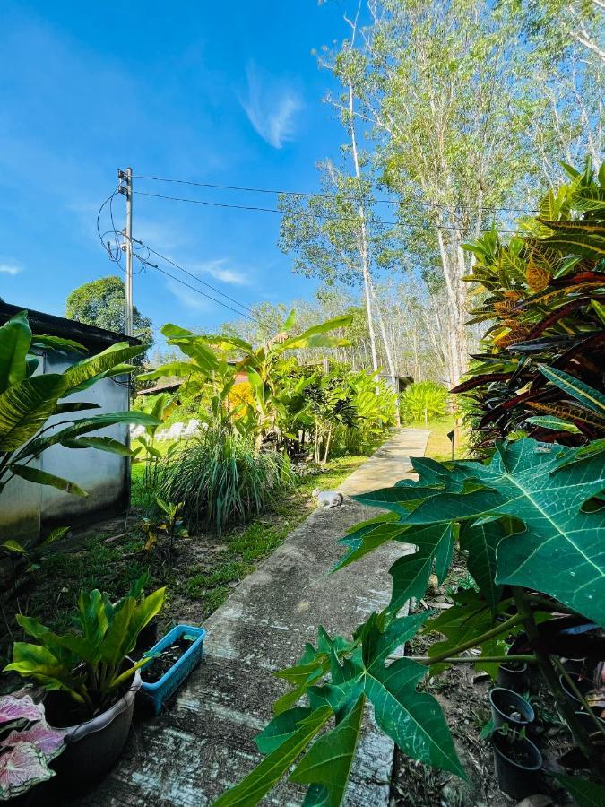 Lok Mun Bungalows Ko Yao Noi Luaran gambar